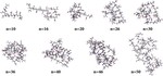 Polyacrylamide in glycerol solutions from an atomistic perspective of the energetics, structure, and dynamics